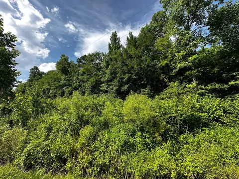 9999 Tidal Wave Rd, Corbin, KY 40701 photo 5