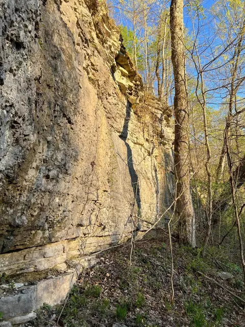 lot18 Rock House Ridge Blvd, Stanton, KY 40380