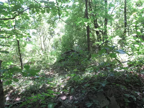 9999 Cook Fork Rd, Jackson, KY 41339 photo 20
