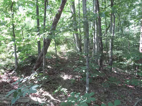 9999 Cook Fork Rd, Jackson, KY 41339 photo 14