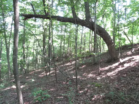 9999 Cook Fork Rd, Jackson, KY 41339 photo 16
