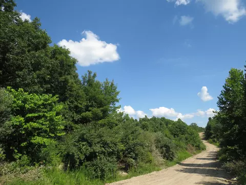 9999 Cook Fork Rd, Jackson, KY 41339 photo 12