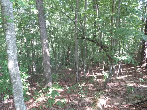 9999 Cook Fork Rd, Jackson, KY 41339 photo 13