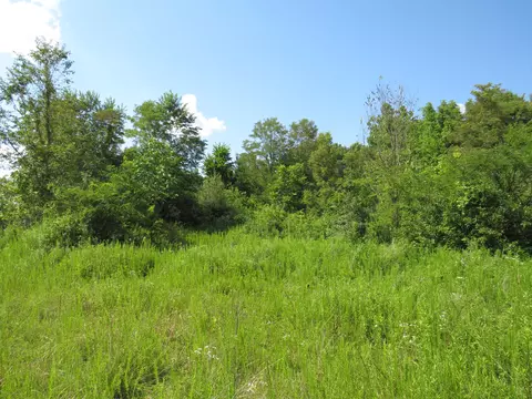 9999 Cook Fork Rd, Jackson, KY 41339 photo 7