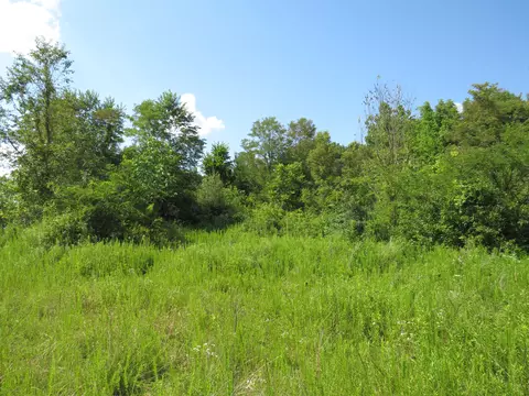 9999 Cook Fork Rd, Jackson, KY 41339 photo 7