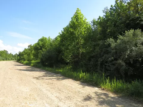 9999 Cook Fork Rd, Jackson, KY 41339 photo 4