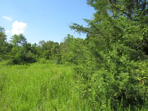 9999 Cook Fork Rd, Jackson, KY 41339 photo 11