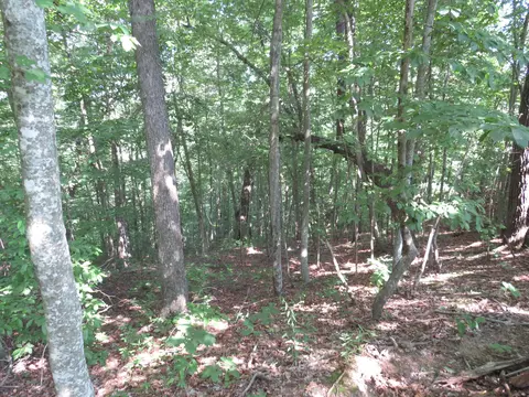 9999 Cook Fork Rd, Jackson, KY 41339 photo 13