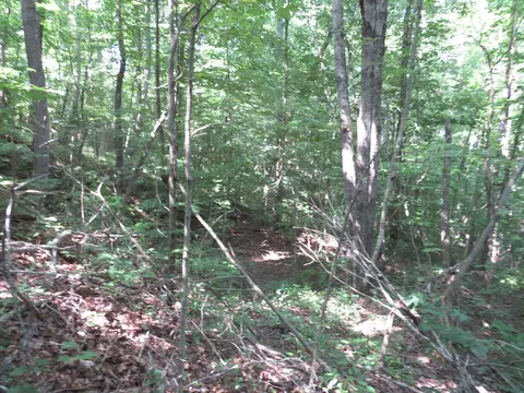 9999 Cook Fork Rd, Jackson, KY 41339 photo 17