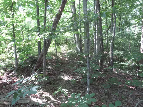 9999 Cook Fork Rd, Jackson, KY 41339 photo 14