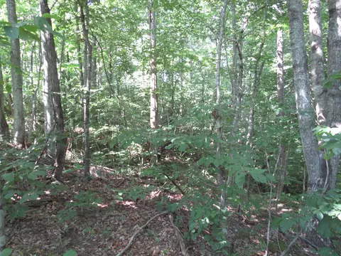 9999 Cook Fork Rd, Jackson, KY 41339 photo 15