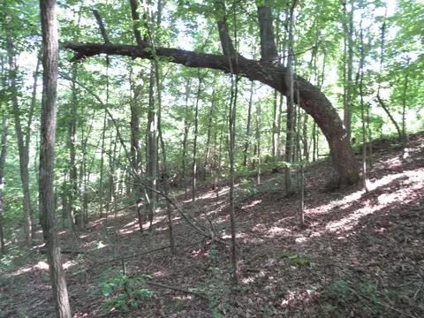 9999 Cook Fork Rd, Jackson, KY 41339 photo 16