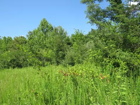 9999 Cook Fork Rd, Jackson, KY 41339 photo 9
