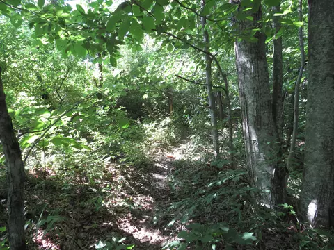 9999 Cook Fork Rd, Jackson, KY 41339 photo 19