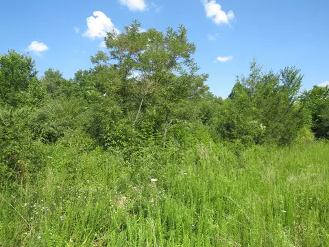 9999 Cook Fork Rd, Jackson, KY 41339 photo 10