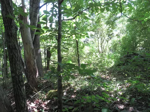 9999 Cook Fork Rd, Jackson, KY 41339 photo 21