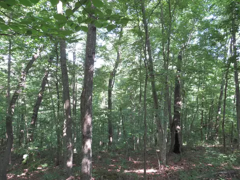 9999 Cook Fork Rd, Jackson, KY 41339 photo 18