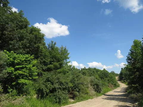 9999 Cook Fork Rd, Jackson, KY 41339 photo 12