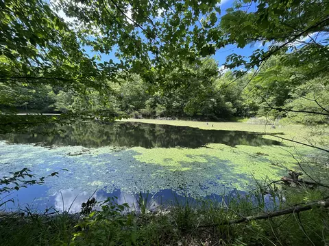 650 Ditney Ridge Rd, Morehead, KY 40351