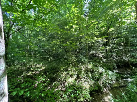 9999 Big Wildcat Rd, Manchester, KY 40962