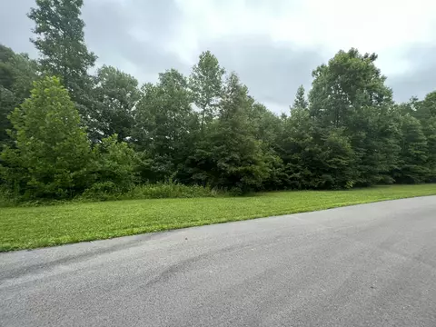 151 Close Lake Dr, Nancy, KY 42544 photo 70