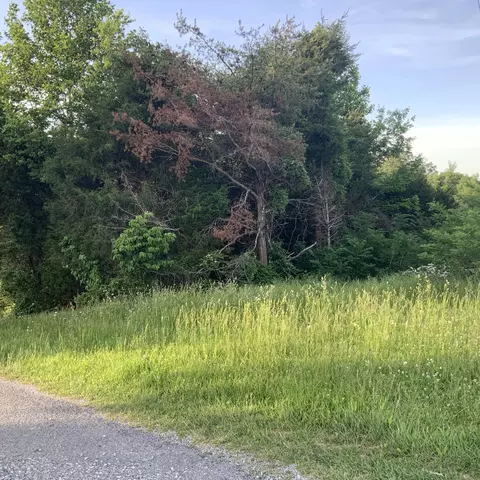 3705 Roberts Port Rd, Nancy, KY 42544
