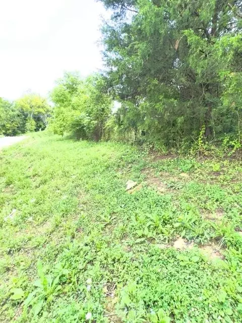 19 Java Ln, Owingsville, KY 40360 photo 22