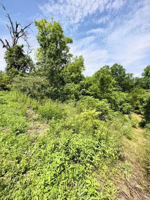 19 Java Ln, Owingsville, KY 40360 photo 23
