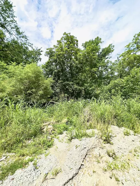 19 Java Ln, Owingsville, KY 40360 photo 28