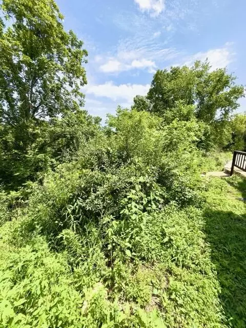 19 Java Ln, Owingsville, KY 40360 photo 26
