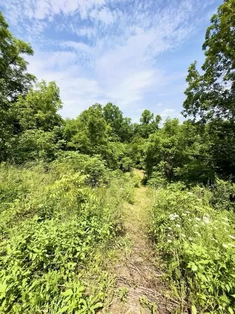 19 Java Ln, Owingsville, KY 40360 photo 24