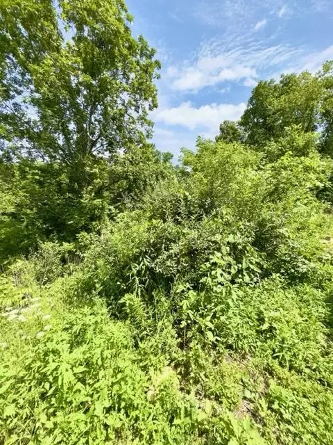 19 Java Ln, Owingsville, KY 40360 photo 25