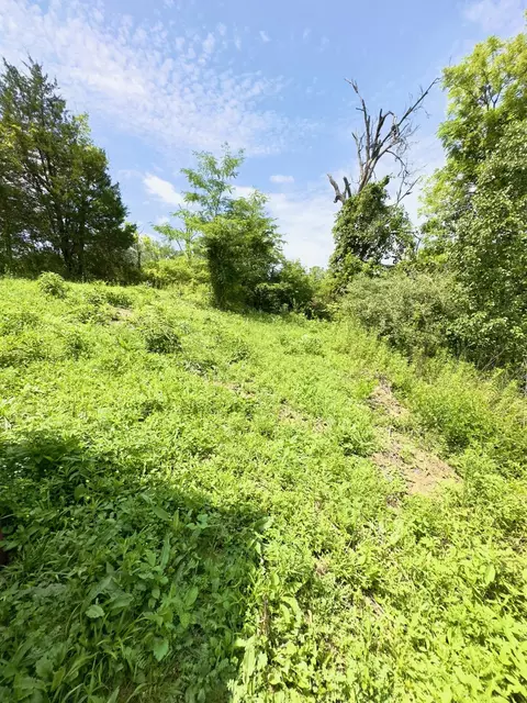 19 Java Ln, Owingsville, KY 40360 photo 21