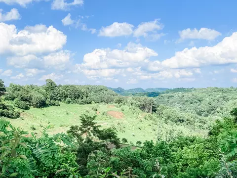 796 Pine Valley Rd, Hazard, KY 41701 photo 47