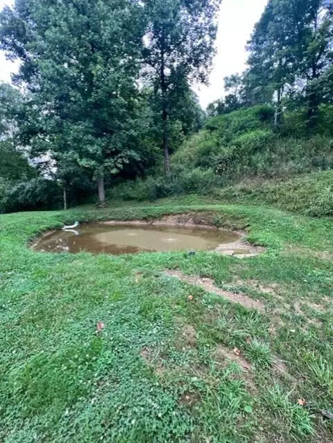 335 Stone Coal Rd, Flatgap, KY 41219 photo 17