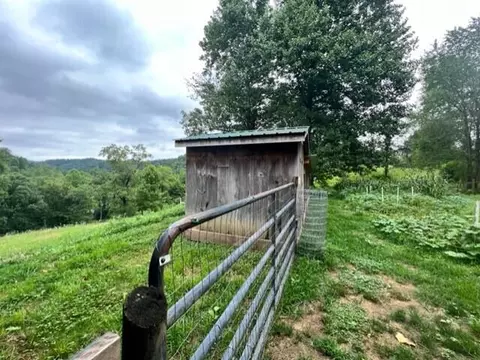 335 Stone Coal Rd, Flatgap, KY 41219 photo 19