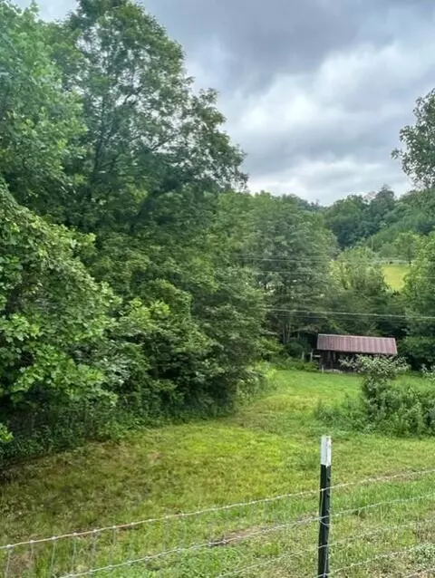 335 Stone Coal Rd, Flatgap, KY 41219 photo 13
