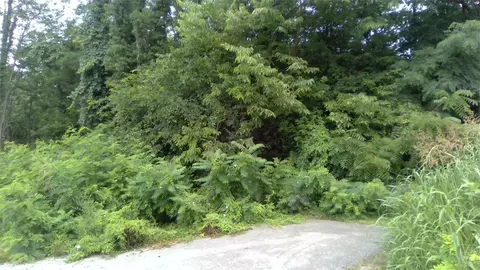 15 Douglas St, Mount Sterling, KY 40353
