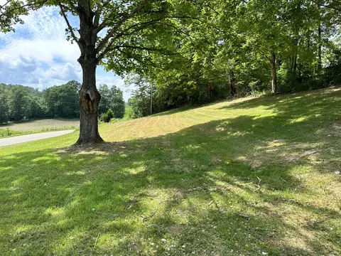 1101 Pomeroyton Rd, Wellington, KY 40387