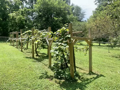 702 Conductor St, Corbin, KY 40701 photo 9