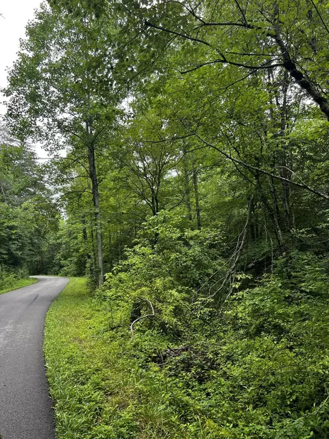9999 Bear Hollow Rd, Rockholds, KY 40759