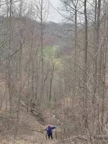 10190 Ky-66, Oneida, KY 40972 photo 7