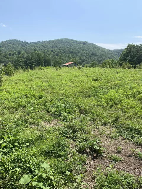 7264 N Ky 11, Girdler, KY 40943