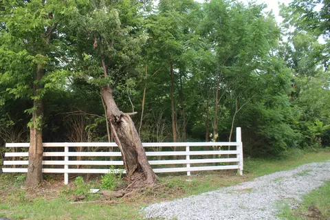 1 Levy Rd, Paris, KY 40361 photo 3