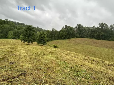 Tract 1 Langdon Branch Road, Annville, KY 40402