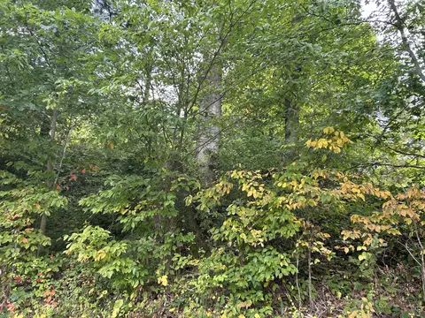 456 Higgins Branch Rd, Gray, KY 40734 photo 4