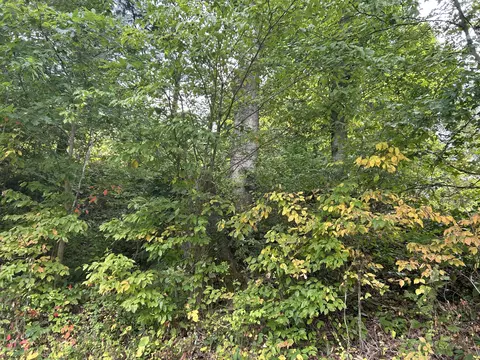 456 Higgins Branch Rd, Gray, KY 40734 photo 3