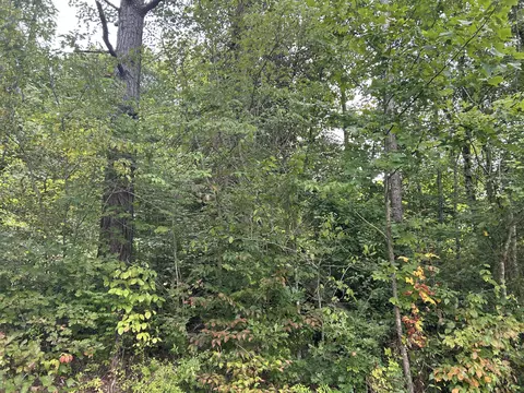 456 Higgins Branch Rd, Gray, KY 40734 photo 2
