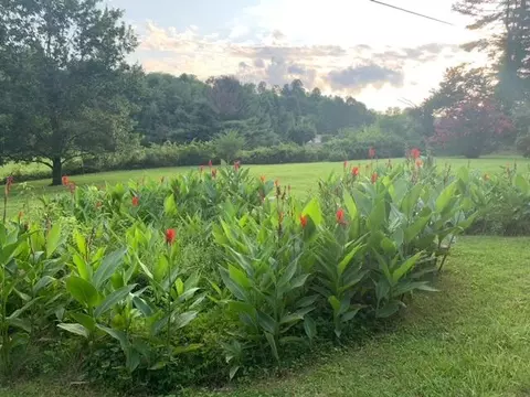 763 Evergreen Rd, Flat Lick, KY 40935 photo 26