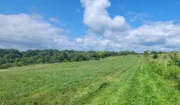 2069 Saltwell Rd, Owingsville, KY 40360